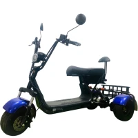 Электроскутер Citycoco GT X3 Pro Trike Mini Синий