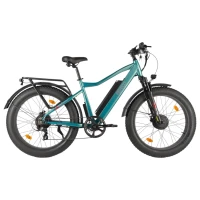 Электровелосипед Eltreco BigCat Dual Next Зелёный-матовый