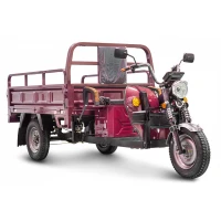 Грузовой электротрицикл Rutrike D4 1800 60V1500W Красный