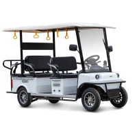 Гольф-кар мини Gelbert Fact 60V 1200Вт